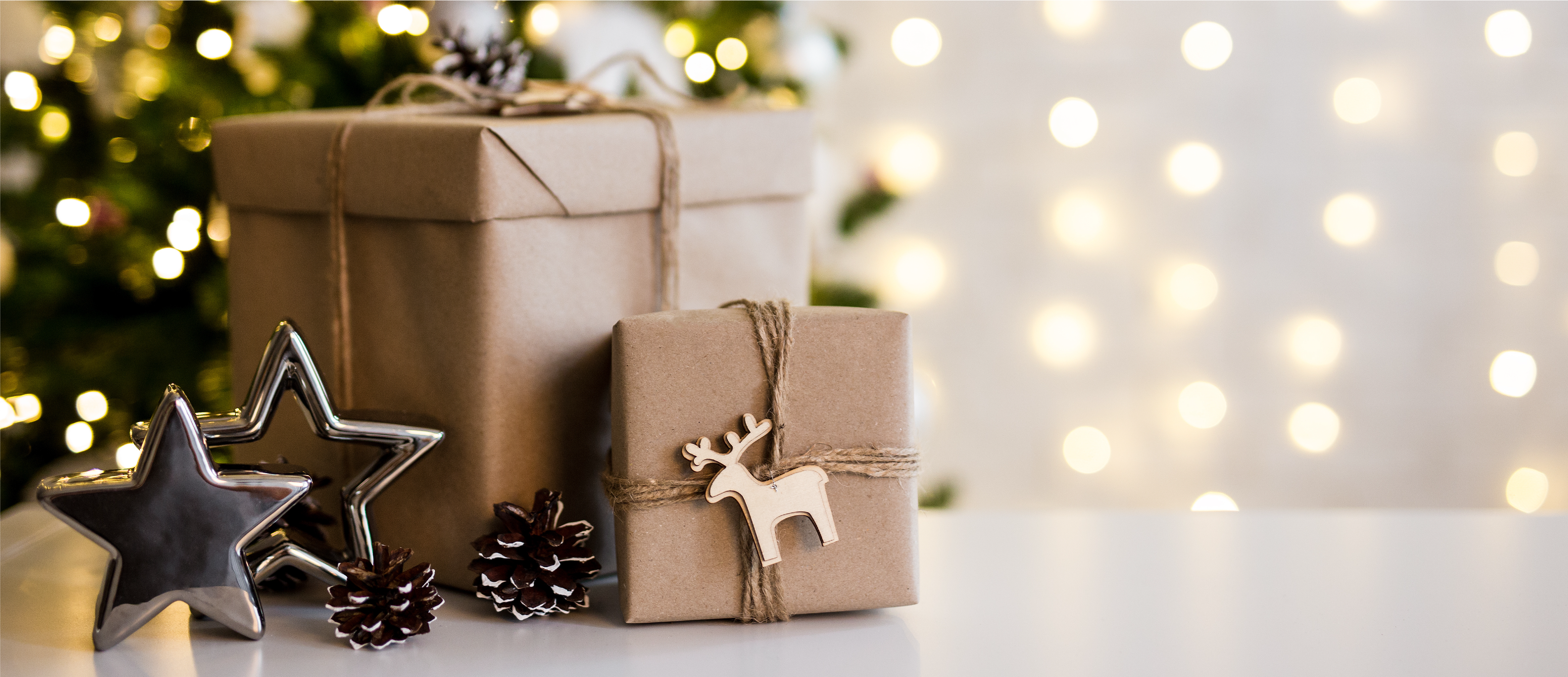 Planning Guide Hero Image